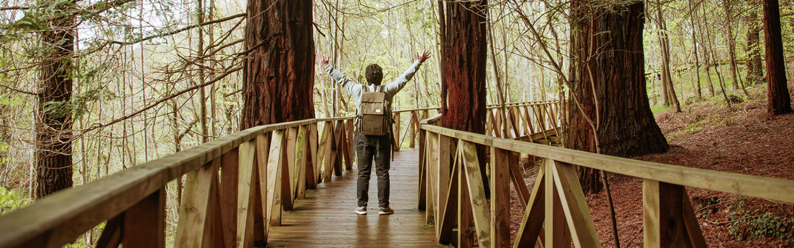 Fleetwood RV An Epic RV Road Trip to California’s National Parks